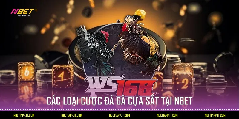 Các loại cược đá gà cựa sắt tại Nbet