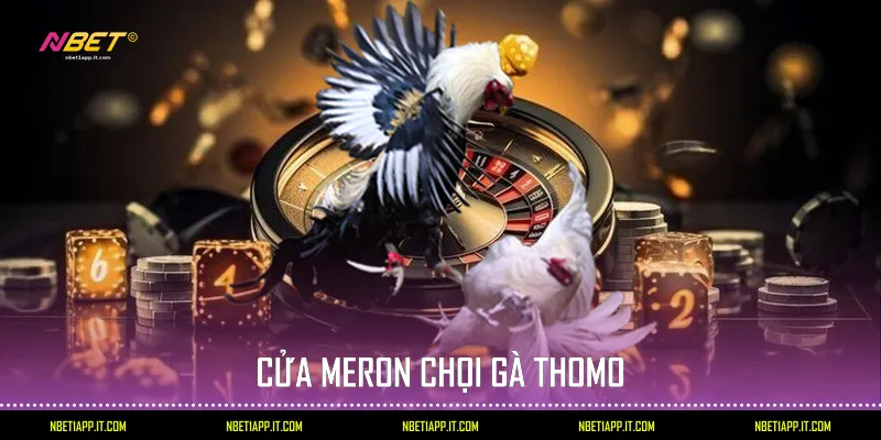 Cửa Meron chọi gà Thomo