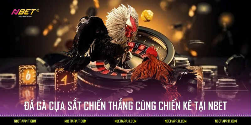 Đá gà cựa sắt