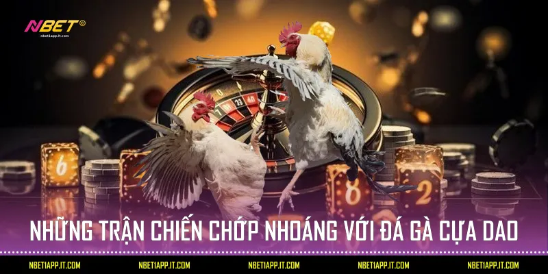 Những trận chiến chớp nhoáng với đá gà cựa dao