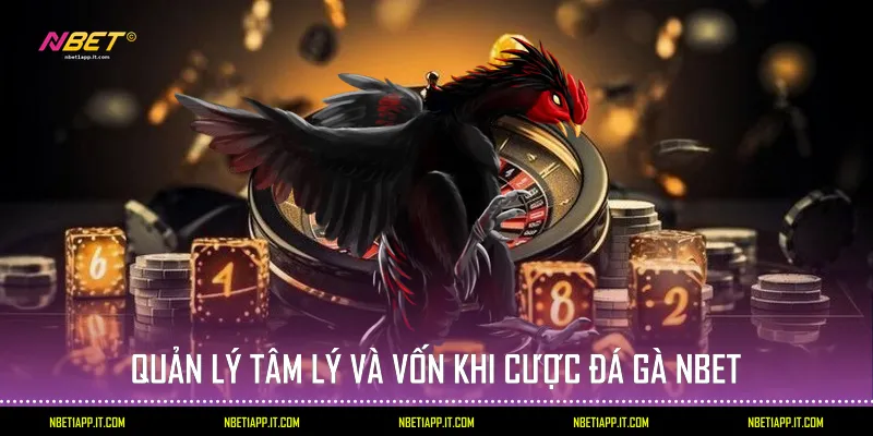 Quản lý tâm lý và vốn khi cược đá gà Nbet