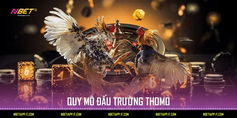 Quy mô đấu trường Thomo