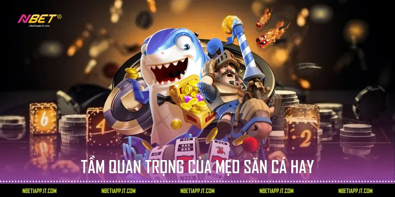 Tầm quan trọng của mẹo săn cá hay