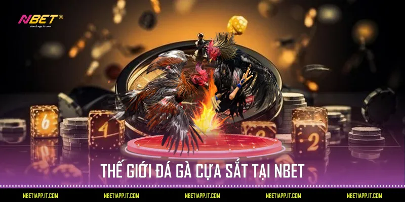 Thế giới đá gà cựa sắt tại Nbet