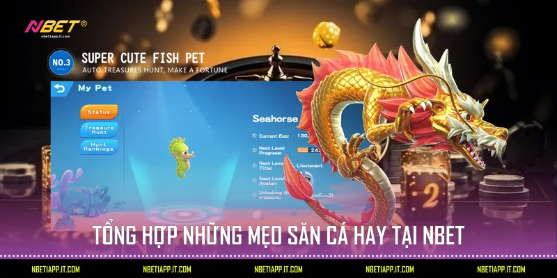 Tổng hợp những mẹo săn cá hay tại Nbet